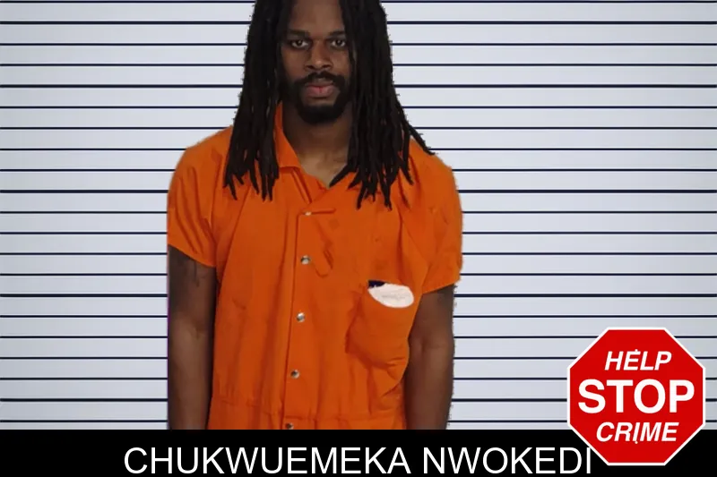 Chukwuemeka Nwokedi mugshot