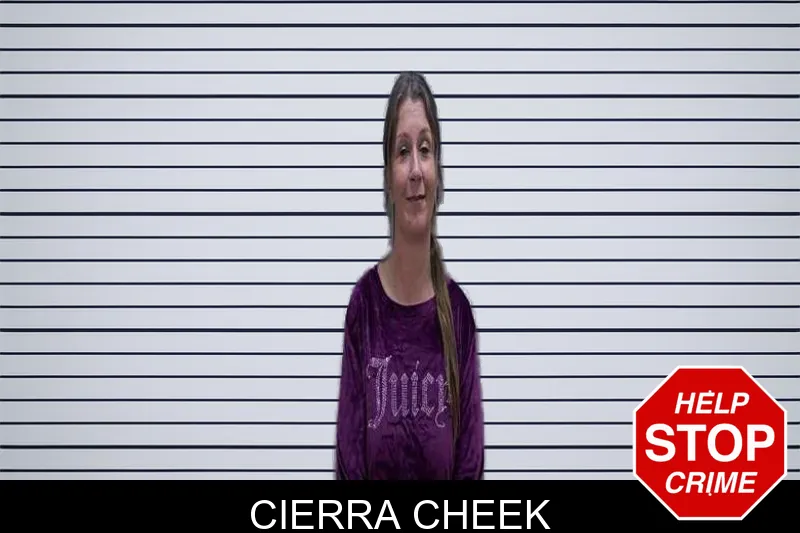 Cierra Cheek mugshot