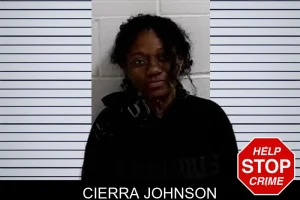 Cierra Johnson mugshot