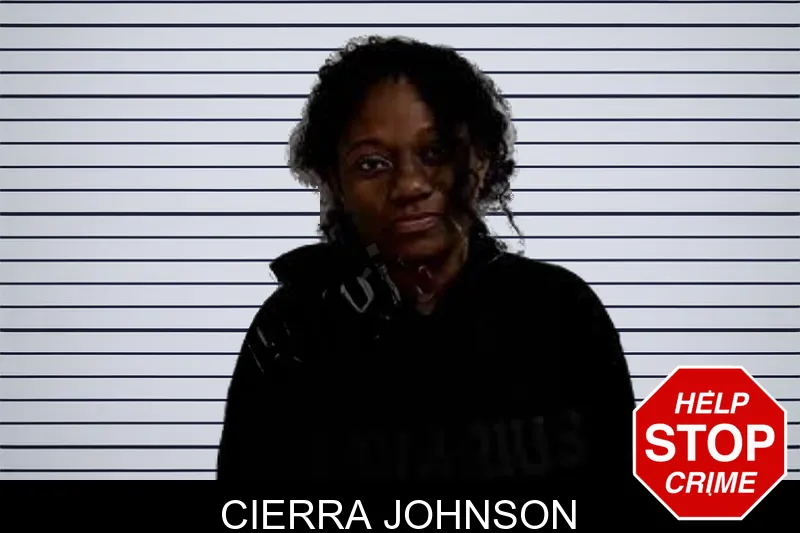 Cierra Johnson Mugshots