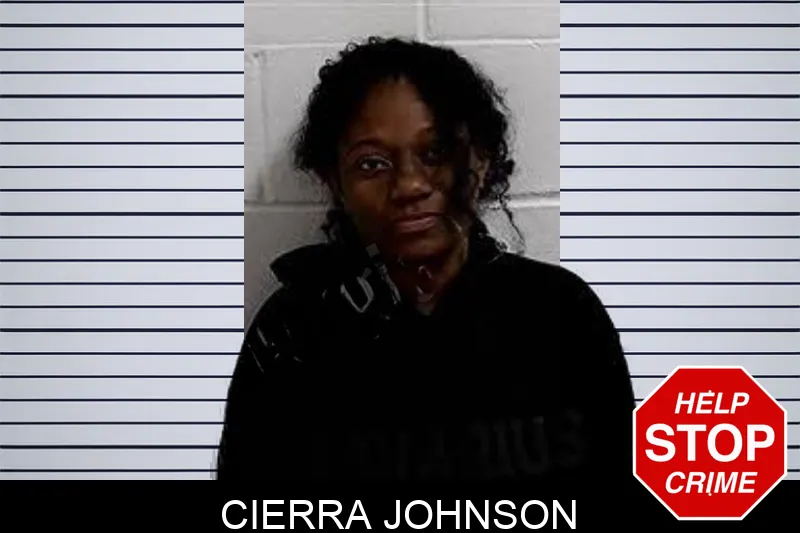 Cierra Johnson Mugshots
