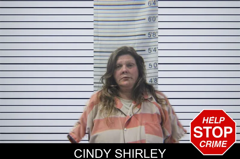 Cindy Shirley Mugshots