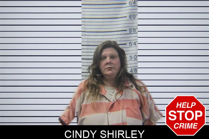 Cindy Shirley Mugshots