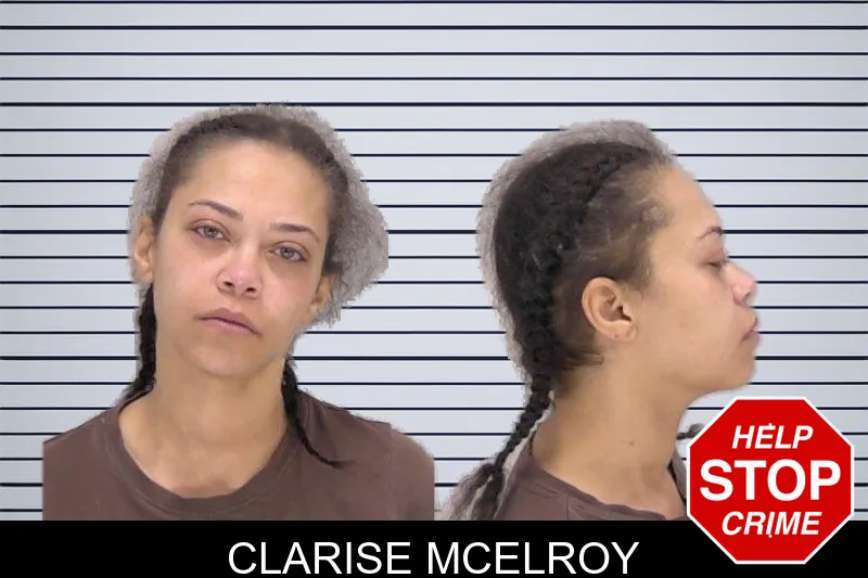 Clarise McElroy Mugshots