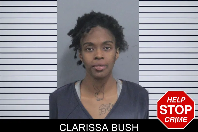 Clarissa Bush mugshot – Catoosa County , Georgia Clarissa Bush mugshot