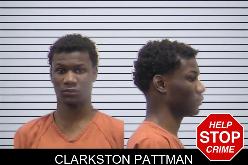 Clarkston Pattman mugshot