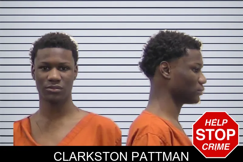 Clarkston Pattman mugshot