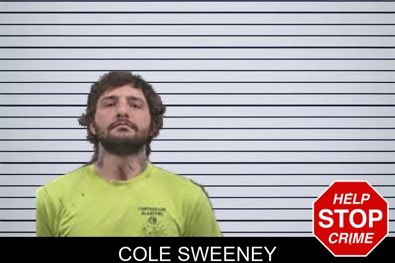 Cole Sweeney mugshot