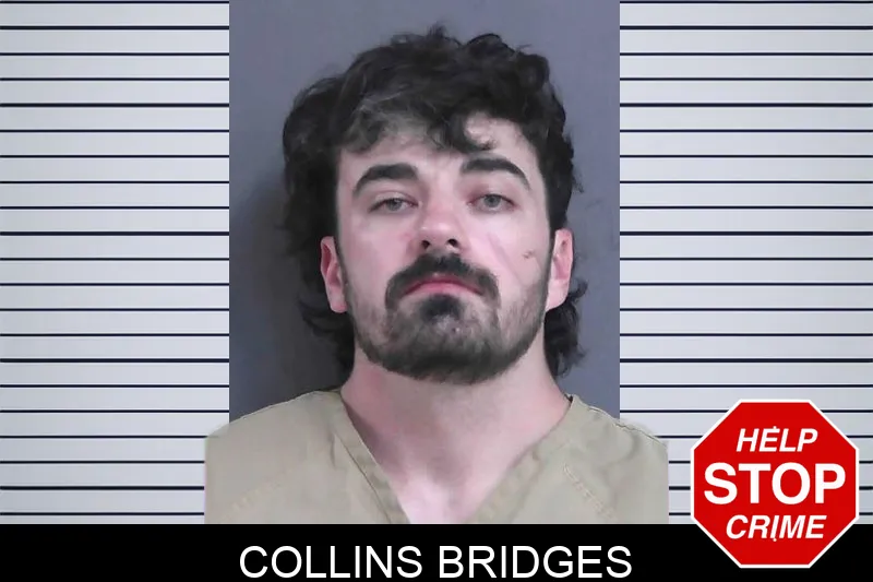 Collins Bridges mugshot – Gordon County , Georgia Collins Bridges mugshot