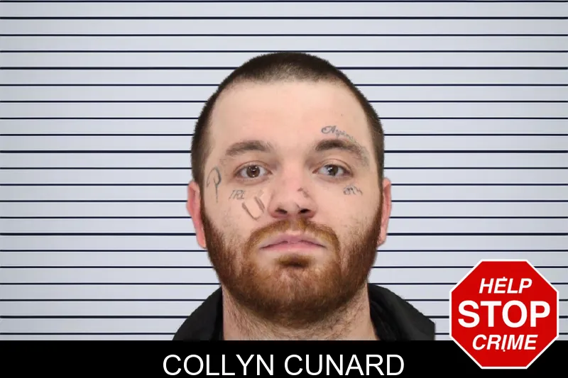 Collyn Cunard mugshot