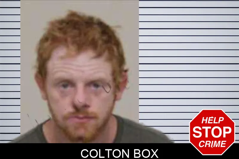 Colton Box Mugshots