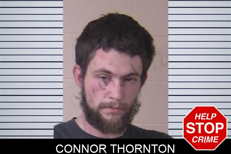 Connor Thornton mugshot