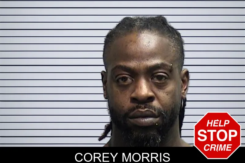 Corey Morris mugshot – Effingham County , Georgia Corey Morris mugshot