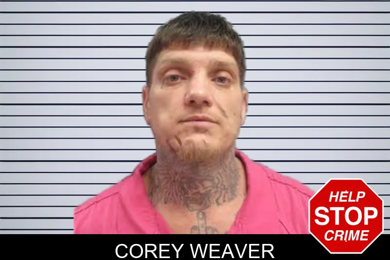 Corey Weaver mugshot – Lee County , Georgia Corey Weaver mugshot