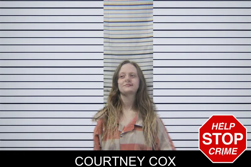 Courtney Cox Mugshots