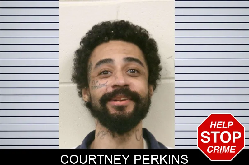 Courtney Perkins Mugshots