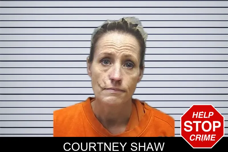 Courtney Shaw Mugshots