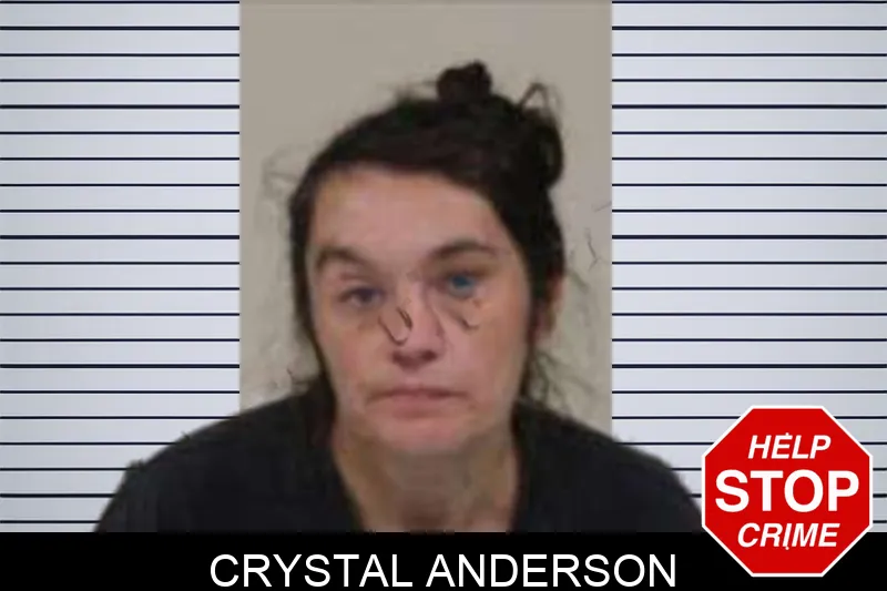 Crystal Anderson Mugshots