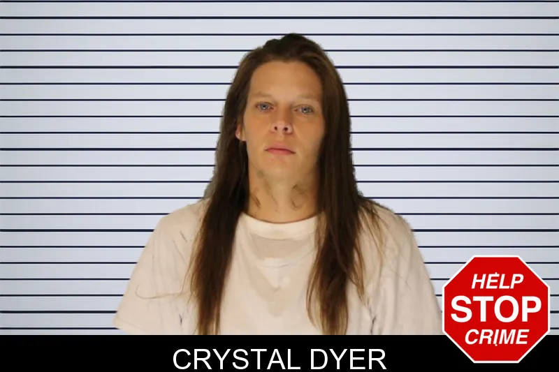 Crystal Dyer Mugshots
