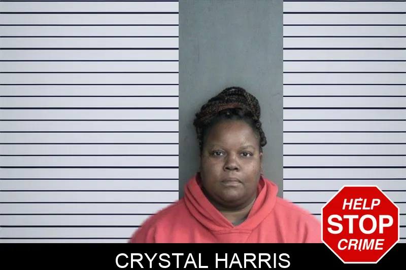 Crystal Harris Mugshots
