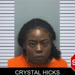 Crystal Hicks Mugshots