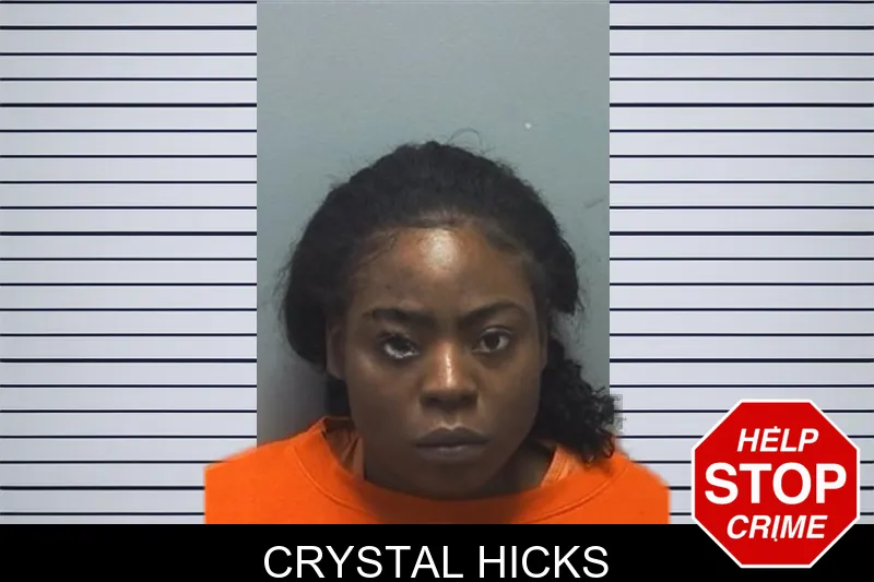 Crystal Hicks Mugshots