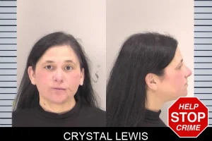 Crystal Lewis mugshot