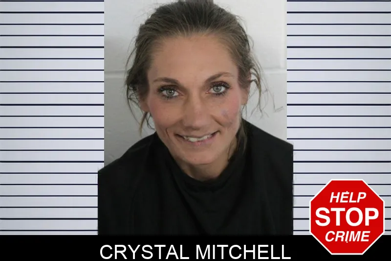 Crystal Mitchell mugshot