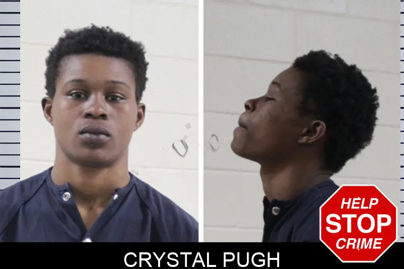Crystal Pugh mugshot – Houston County , Georgia Crystal Pugh mugshot