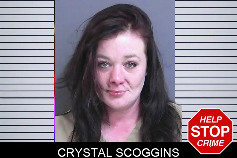 Crystal Scoggins mugshot – Gordon County , Georgia Crystal Scoggins mugshot