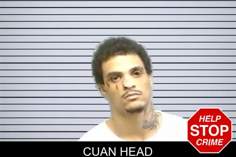 Cuan Head