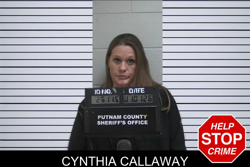 Cynthia Callaway Mugshots