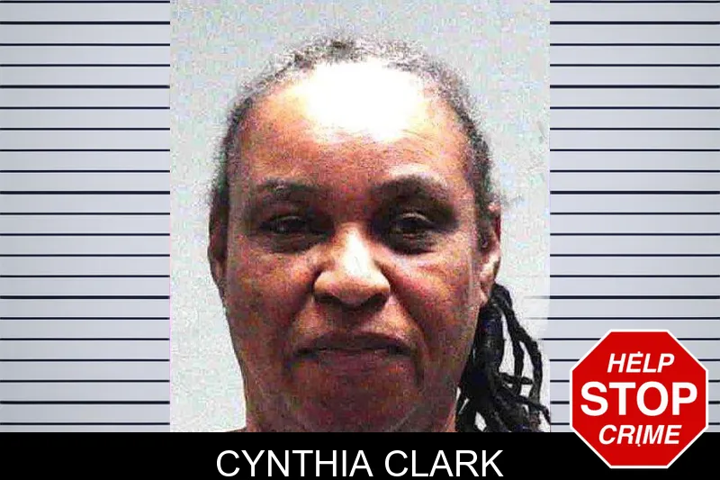 Cynthia Clark Mugshots
