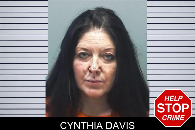 Cynthia Davis mugshot