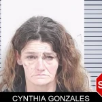 Cynthia Gonzales Mugshots