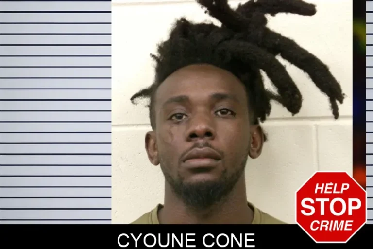 Cyoune Cone