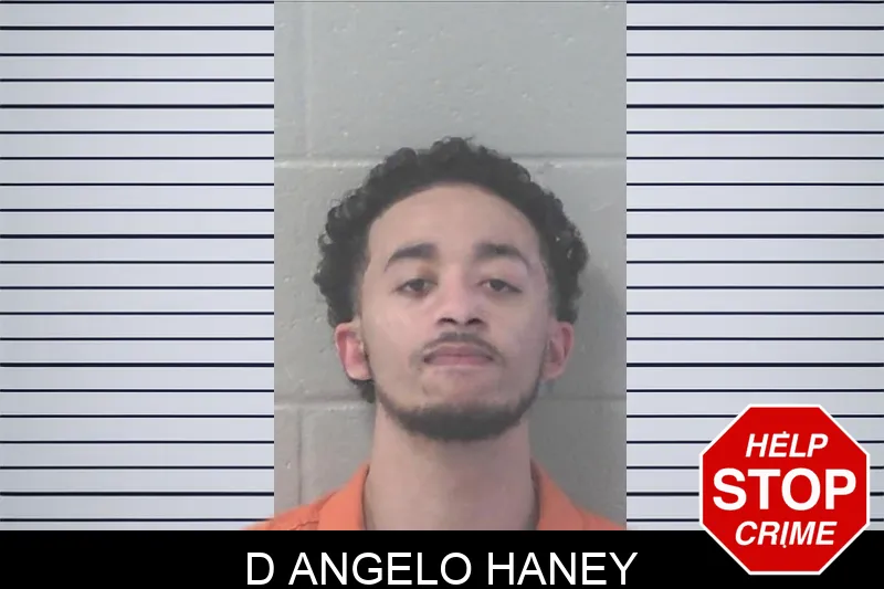 D Angelo Haney mugshot
