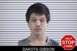 Dakota Gibson mugshot