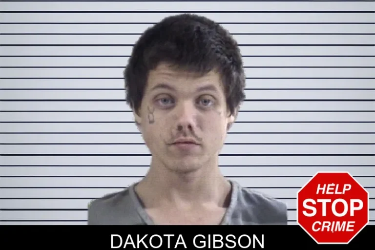 Dakota Gibson mugshot – Whitfield County , Georgia Dakota Gibson