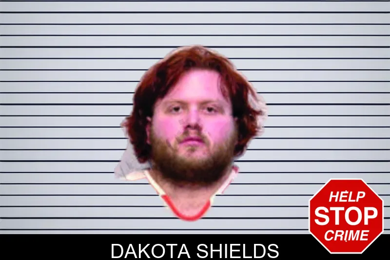 Dakota Shields Mugshots