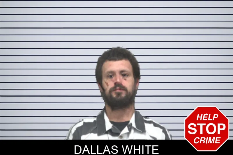 Dallas White Mugshots