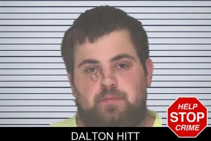 Dalton Hitt mugshot