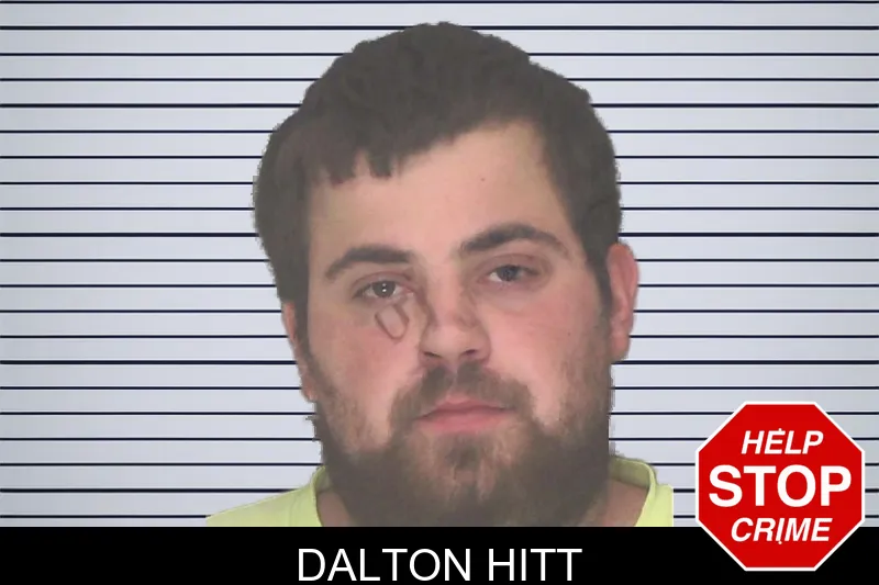 Dalton Hitt mugshot