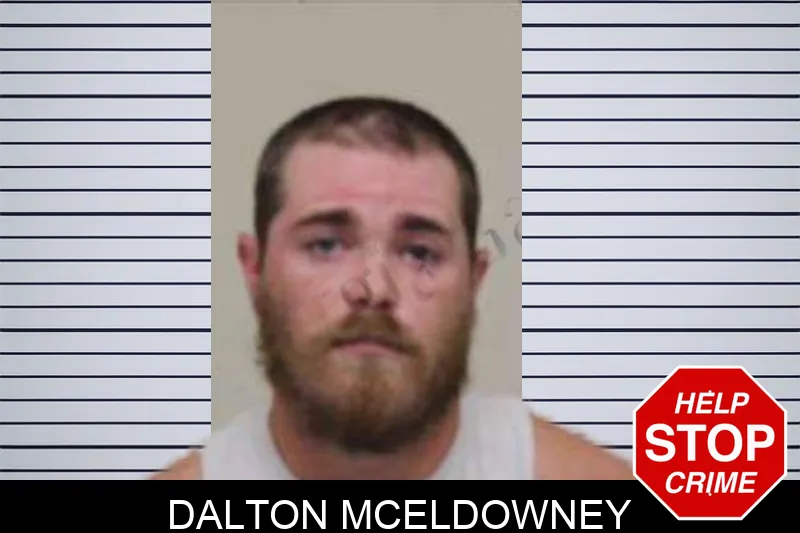 Dalton McEldowney Mugshots