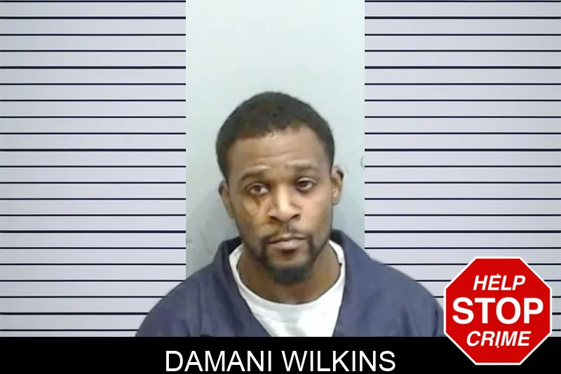 Damani Wilkins mugshot