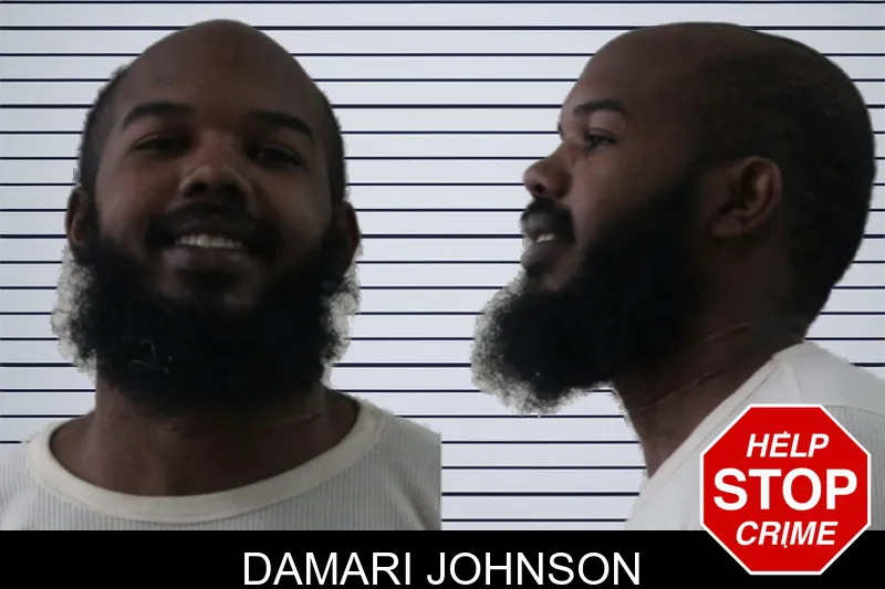 Damari Johnson Mugshots