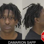 Damarion Sapp Mugshots
