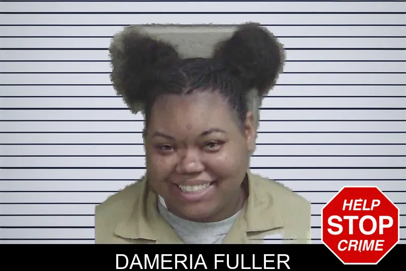 Dameria Fuller mugshot
