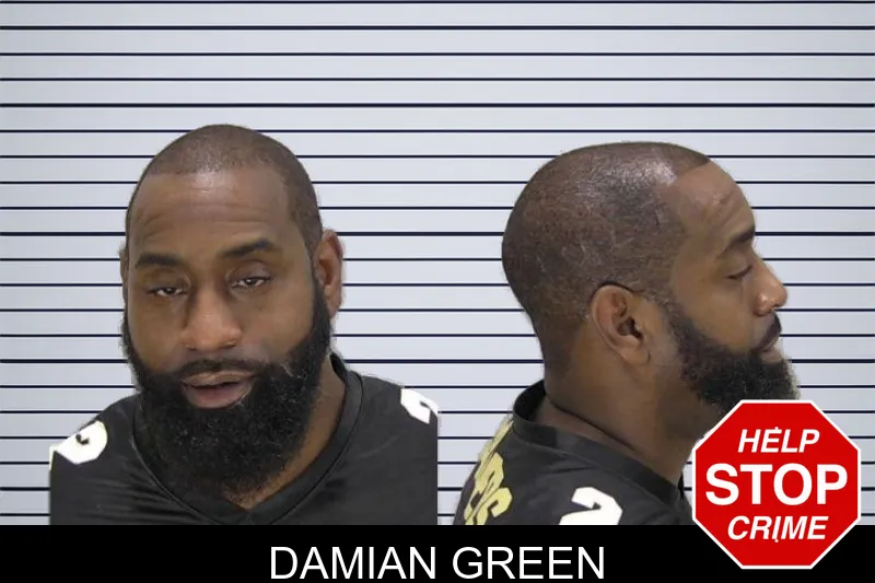 Damian Green Mugshots