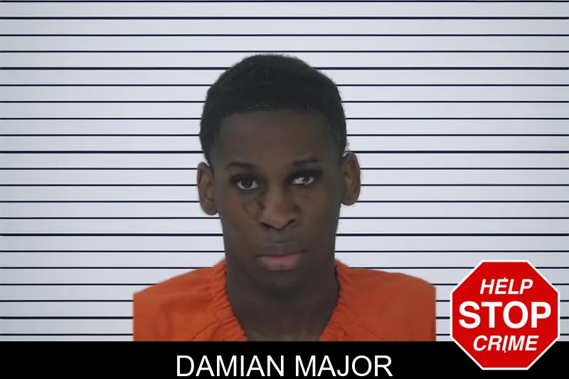 Damian Major mugshot